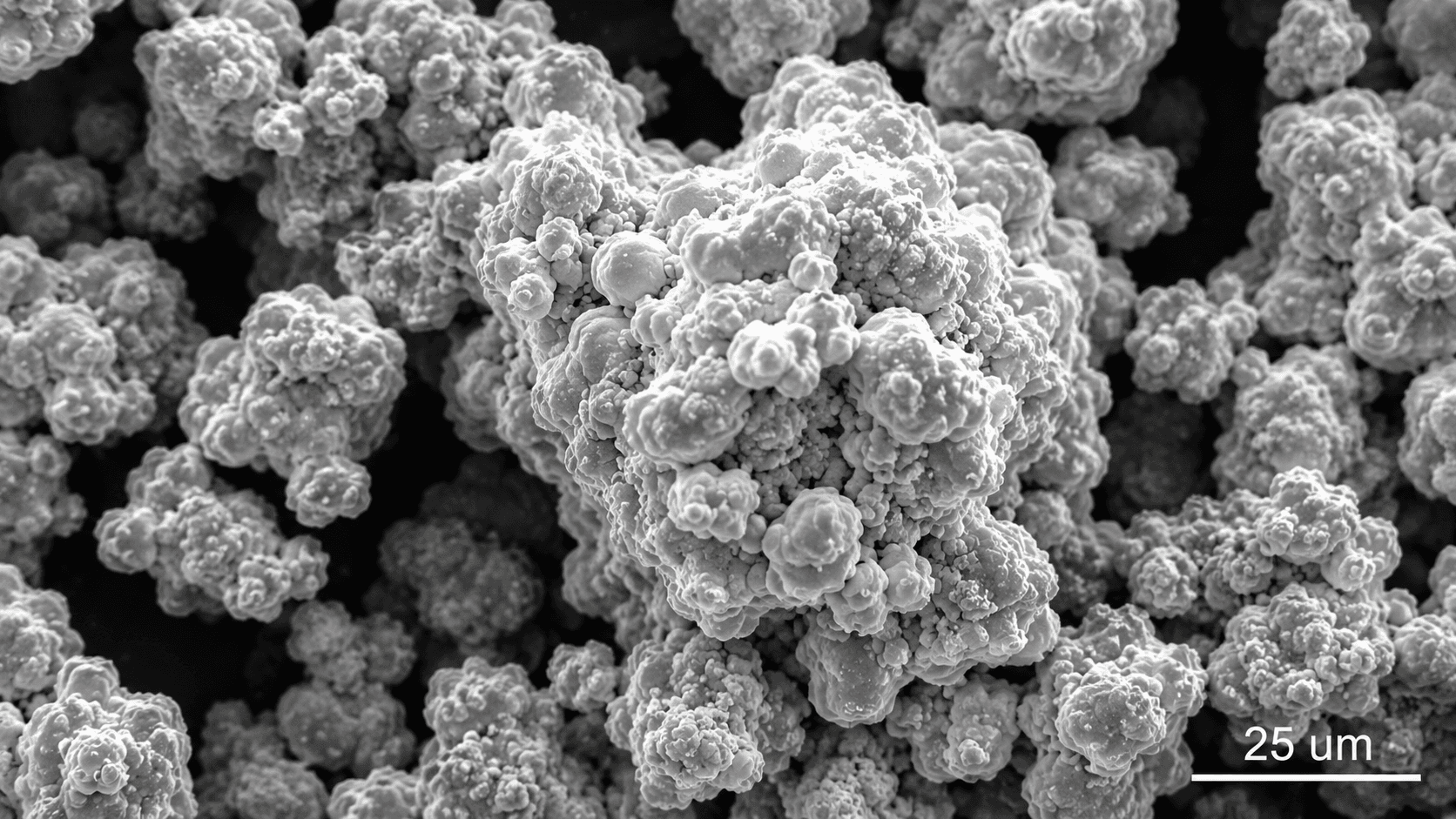 White micronized pentaerythritol powder macro view