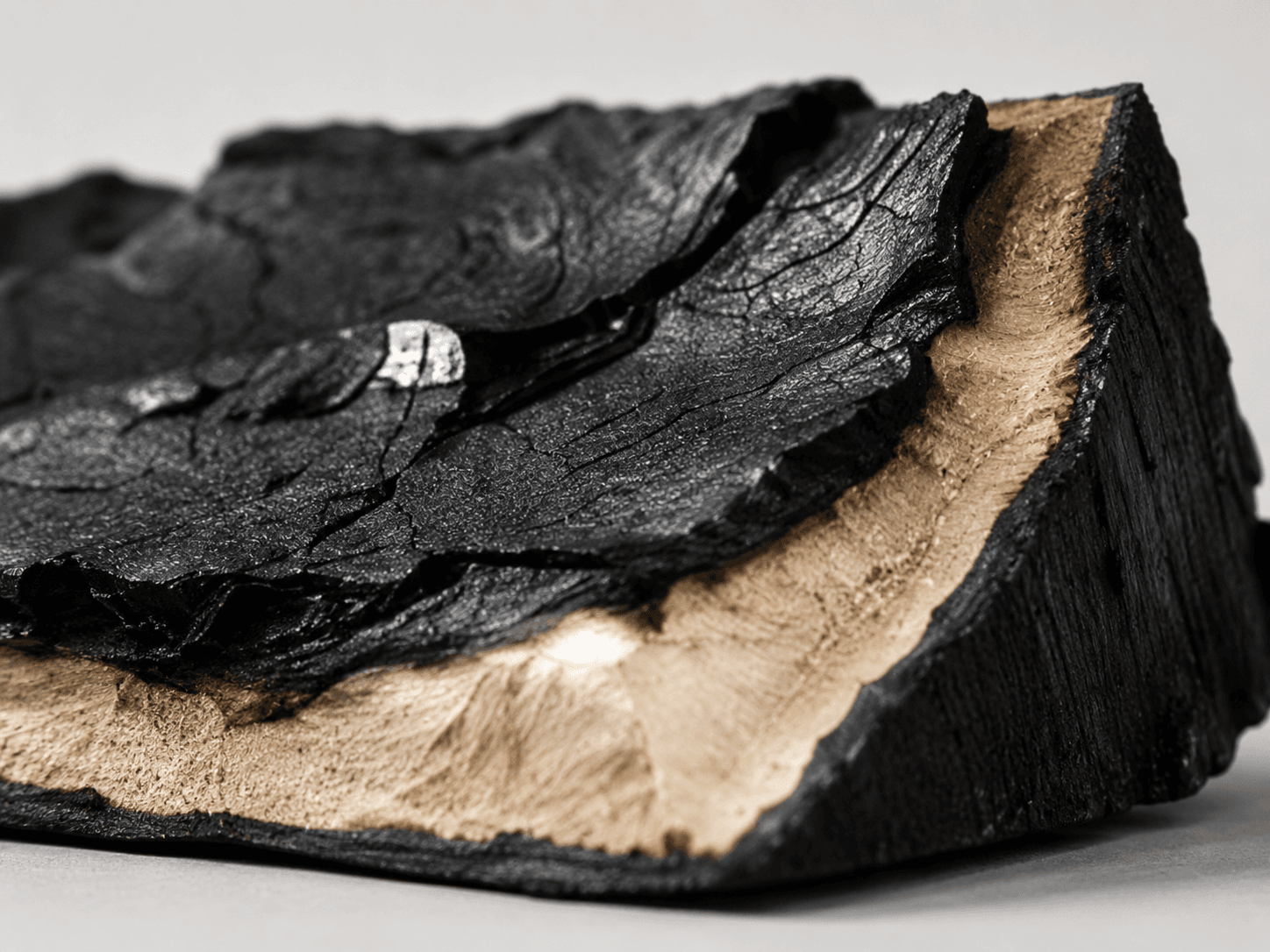 Intact Char Formation