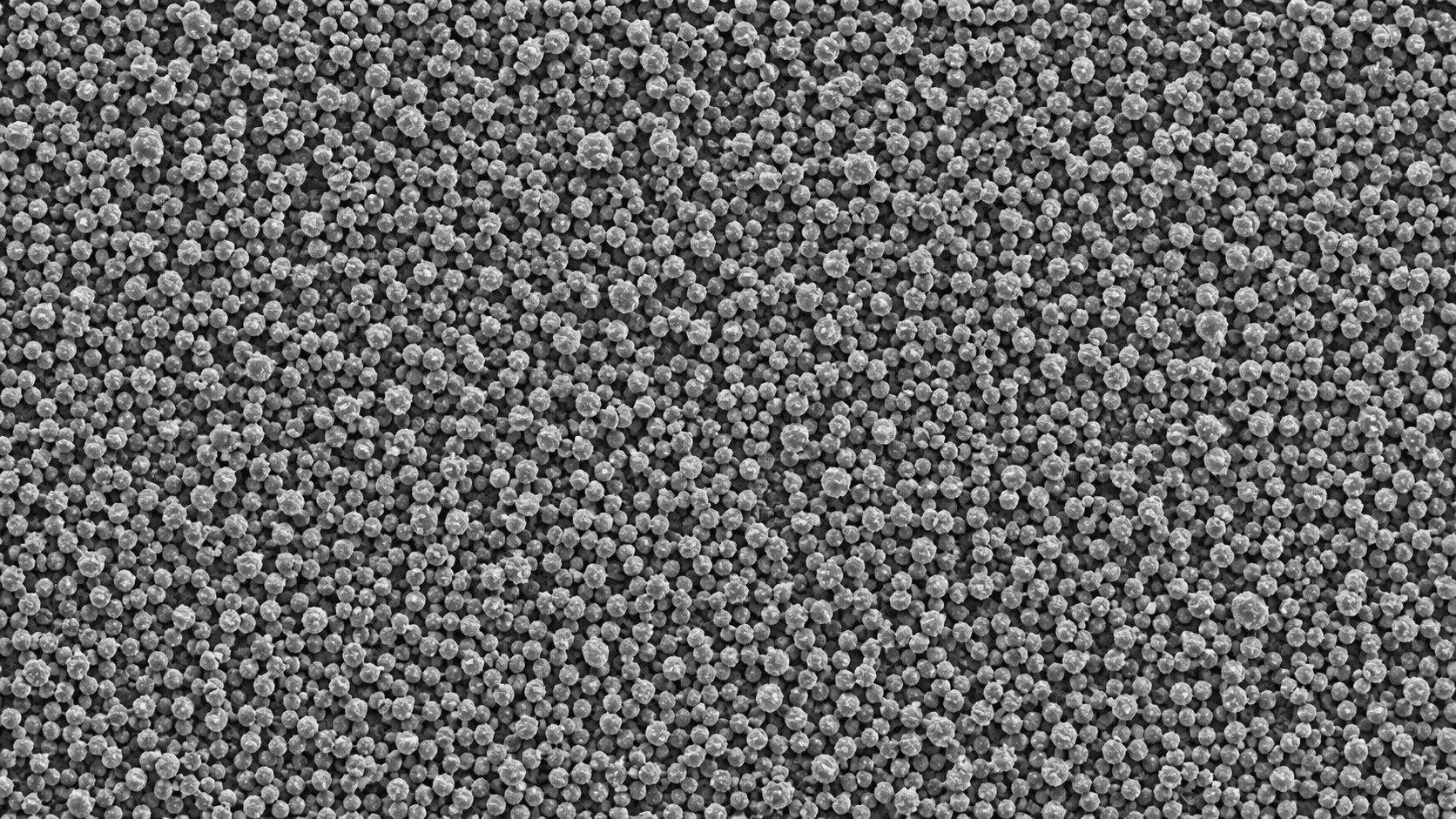 Micronized PE