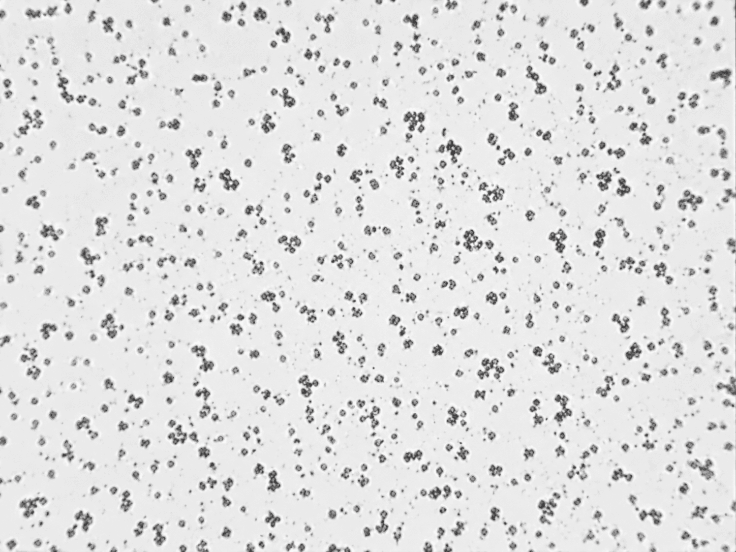 Micronized Pentaerythritol